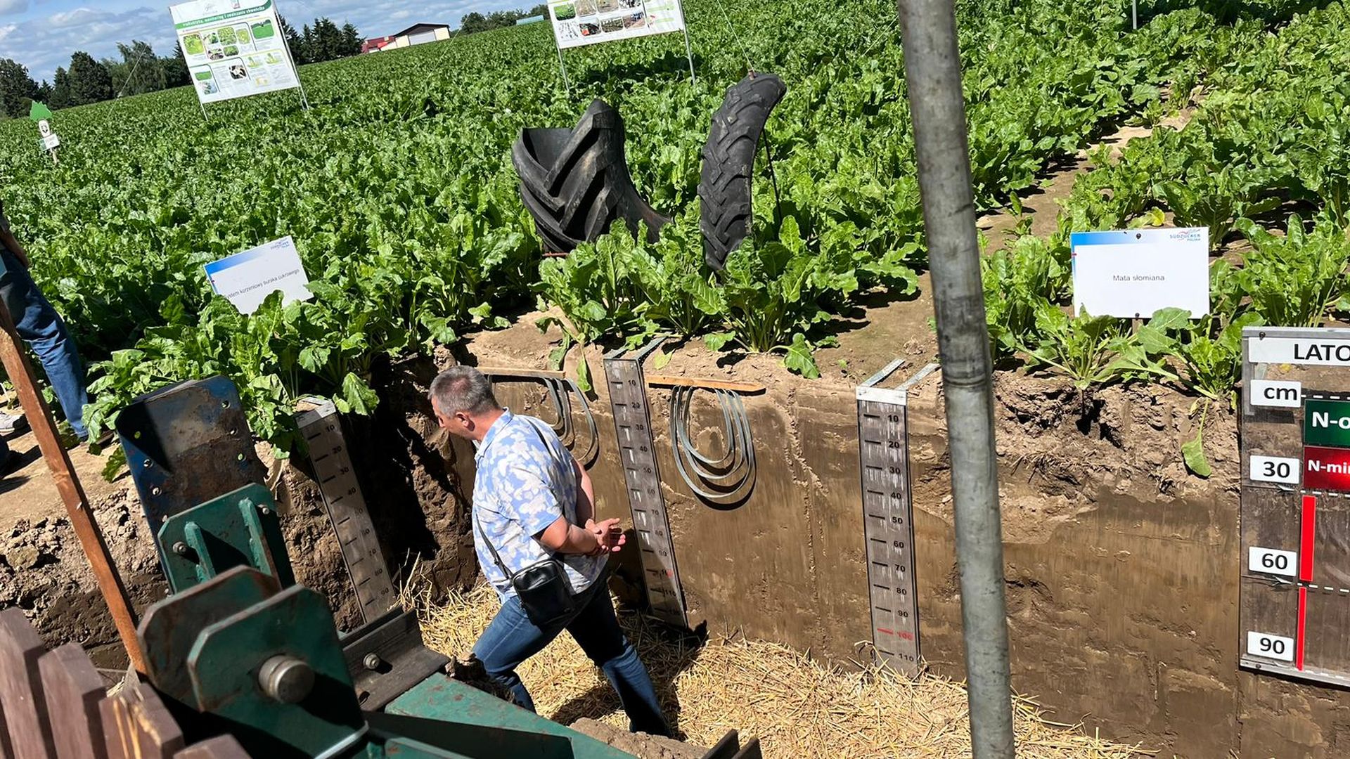 Kliknij aby powiększyć